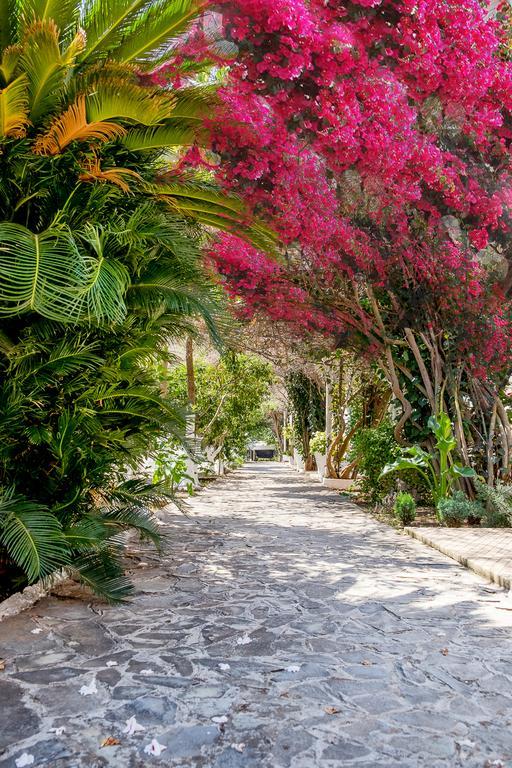 Kalamitsi Beach Camping Village Πρέβεζα Εξωτερικό φωτογραφία